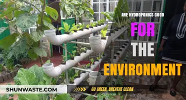 Hydroponics and Sustainability: Eco-Friendly Benefits for a Greener Future