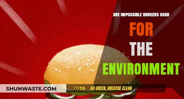 Impossible Burgers: Eco-Friendly Solution or Greenwashed Hype?