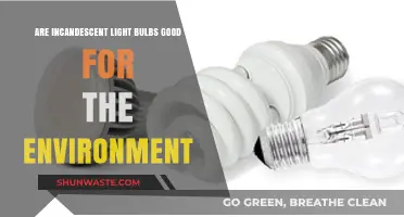 Incandescent Bulbs: Environmental Impact and Sustainable Lighting Alternatives
