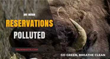 The Pollution Crisis on Native American Reservations