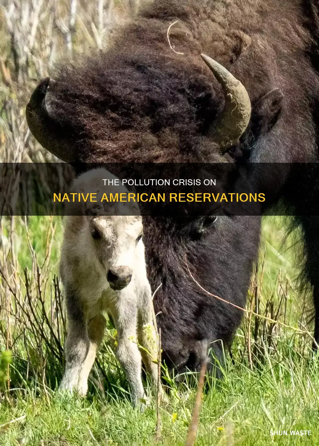 are indian reservations polluted