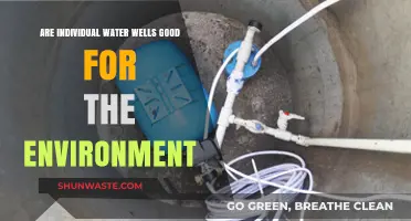 Eco-Friendly Water Access: Are Individual Wells Sustainable Solutions?