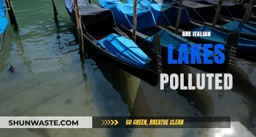 Italian Lakes: Polluted or Pristine?