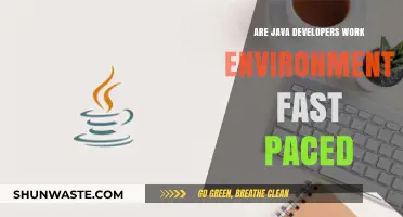 Java Developers' Work Environment: Fast-Paced or Steady-Paced?