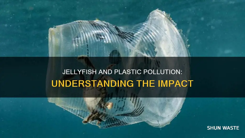 are jellyfish affected by plastic pollution