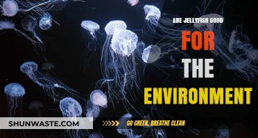 Jellyfish's Environmental Impact: Beneficial or Harmful to Ecosystems?