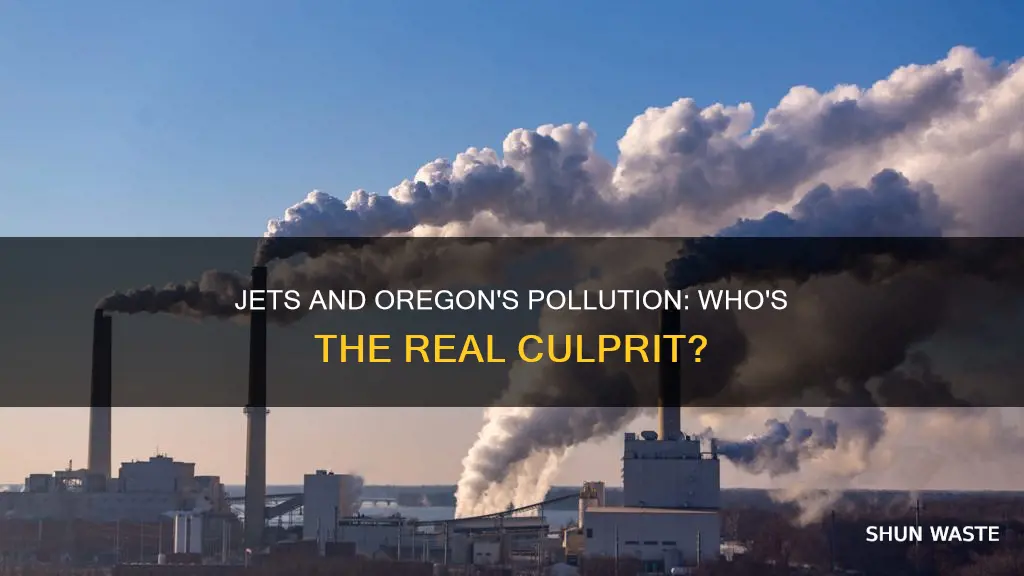 are jets the biggest polluter in oregon