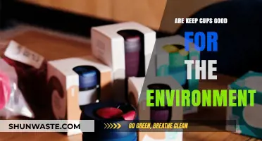 Are Keep Cups Eco-Friendly? Uncovering Their Environmental Impact and Benefits