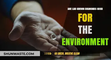 Eco-Friendly Sparkle: Are Lab-Grown Diamonds Environmentally Sustainable?