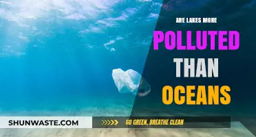 Lakes vs Oceans: Who's More Polluted?