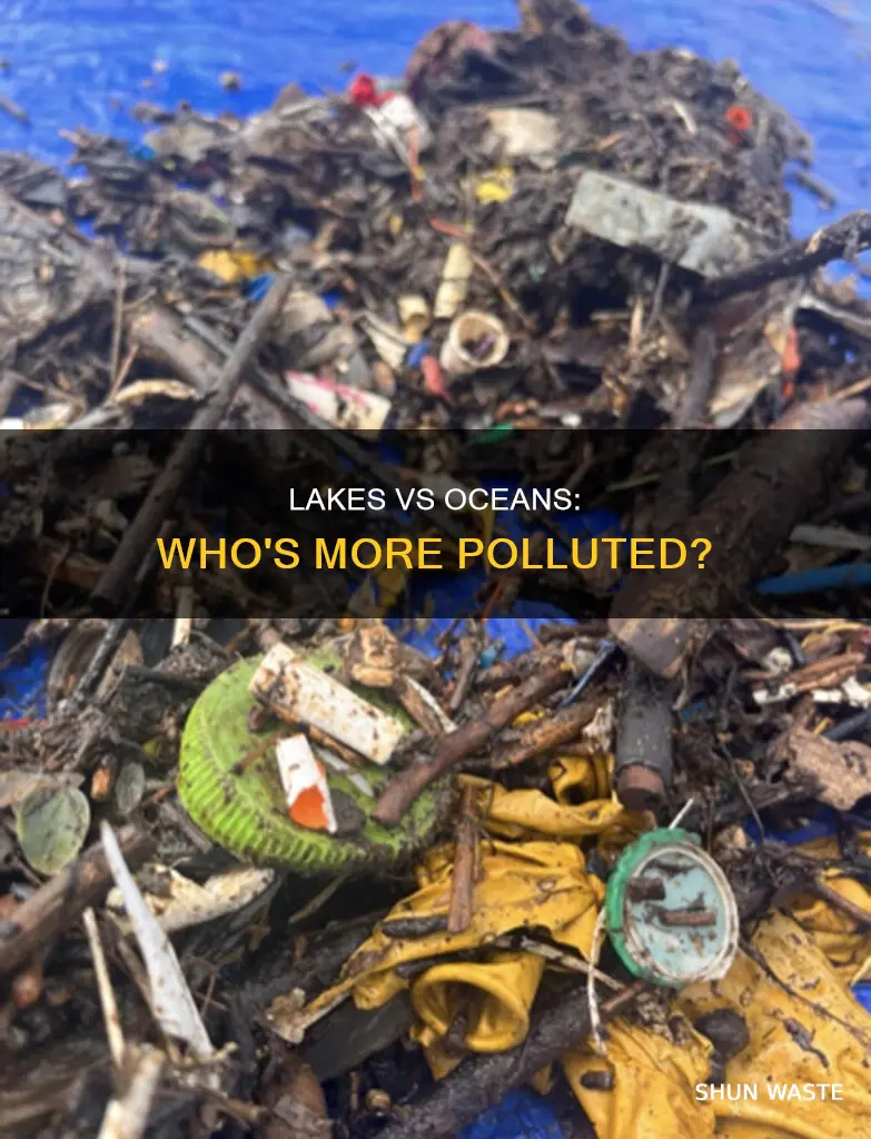 are lakes more polluted than oceans