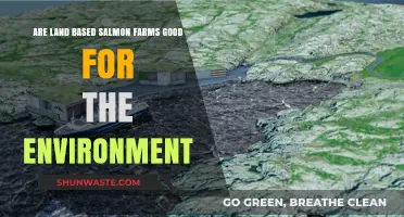 Land-Based Salmon Farms: Eco-Friendly Solution or Environmental Concern?