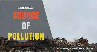 Landfills: A Major Environmental Concern?