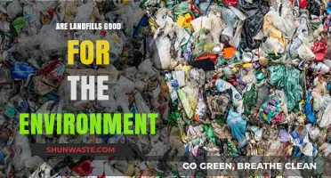 Are Landfills Eco-Friendly? Uncovering Their Environmental Impact and Myths