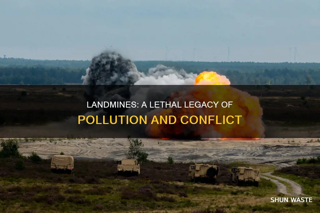 are landmines an example of pollution