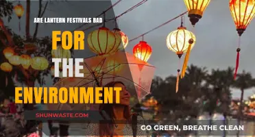 Lantern Festivals: Eco-Friendly Celebration or Environmental Hazard?