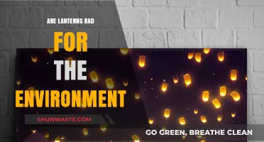 Lanterns and the Environment: Uncovering Their Ecological Impact and Sustainability