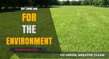 Are Lawns Eco-Friendly? Uncovering the Environmental Impact of Green Spaces