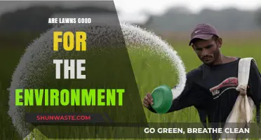 Are Lawns Eco-Friendly? Exploring Their Environmental Impact and Benefits