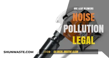 Leaf Blowers: Legal, but Are They Noise Polluters?