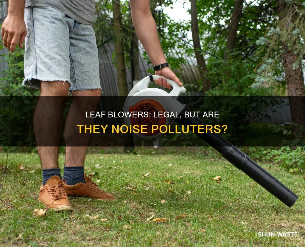 are leaf blowers noise pollution legal