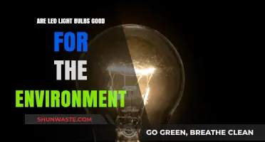Eco-Friendly Lighting: Are LED Bulbs Truly Environmentally Beneficial?