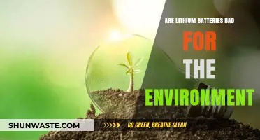 Lithium Batteries: Environmental Impact and Sustainable Alternatives Explored