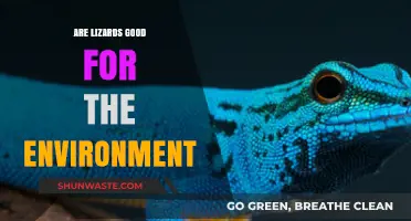 Lizards' Eco-Friendly Role: How They Benefit Our Environment