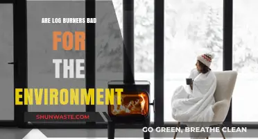 Log Burners and the Environment: Uncovering the Ecological Impact