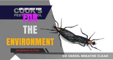 Love Bugs: Environmental Allies or Just Annoying Hitchhikers?