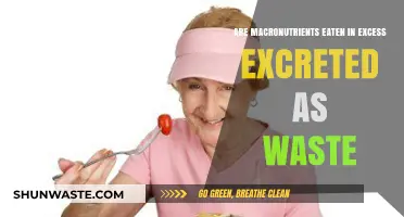 Excess Macronutrients: Are They Excreted as Waste or Stored?
