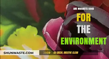 Magnets' Eco-Impact: Unveiling Their Environmental Benefits and Challenges