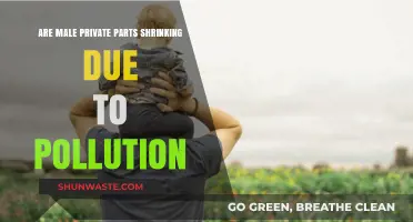 Pollution's Impact: Are Male Privates Shrinking?