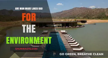 Man-Made Lakes: Environmental Boon or Ecological Disaster?