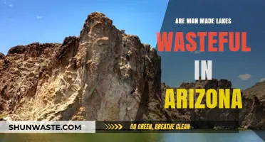 Are Arizona's Man-Made Lakes a Wasteful Water Luxury?