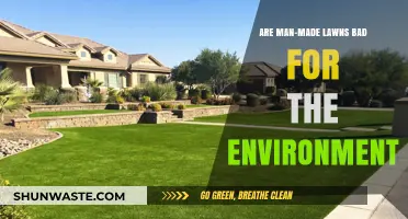 Man-Made Lawns: Environmental Impact and Sustainable Alternatives Explored