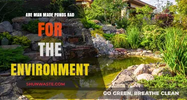 Man-Made Ponds: Environmental Boon or Ecological Burden?