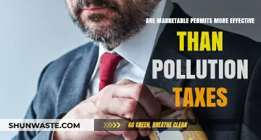 Marketable Permits vs Pollution Taxes: Which is More Effective?