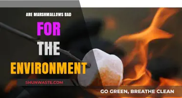 Marshmallows' Environmental Impact: Sustainable Treat or Eco-Unfriendly Indulgence?