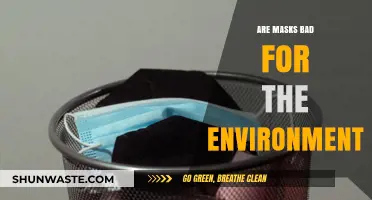 Masks and the Environment: Uncovering the Hidden Ecological Impact
