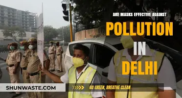 Delhi's Pollution: Do Masks Really Work?