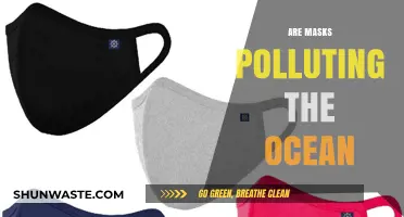 The Dark Side of Masks: Ocean Pollution