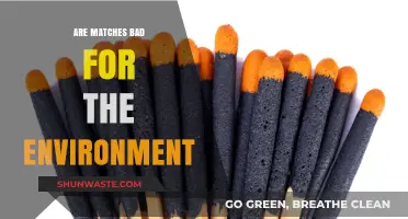 Are Matches Eco-Friendly? Uncovering Their Environmental Impact and Alternatives