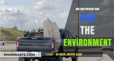 Eco-Friendly Sleep: Are Mattresses Harming Our Planet?