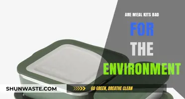 Meal Kits and the Environment: Sustainable or Eco-Unfriendly Choice?
