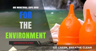 Eco-Friendly Periods: Are Menstrual Cups the Green Solution?