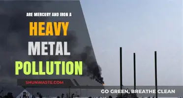 Mercury and Iron: Heavy Metal Pollution's Twin Threats