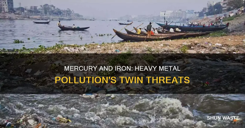are mercury and iron a heavy metal pollution