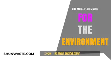 Eco-Friendly Music: Are Metal Flutes a Sustainable Choice?