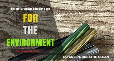 Metal Straws: Eco-Friendly Solution or Overhyped Trend?